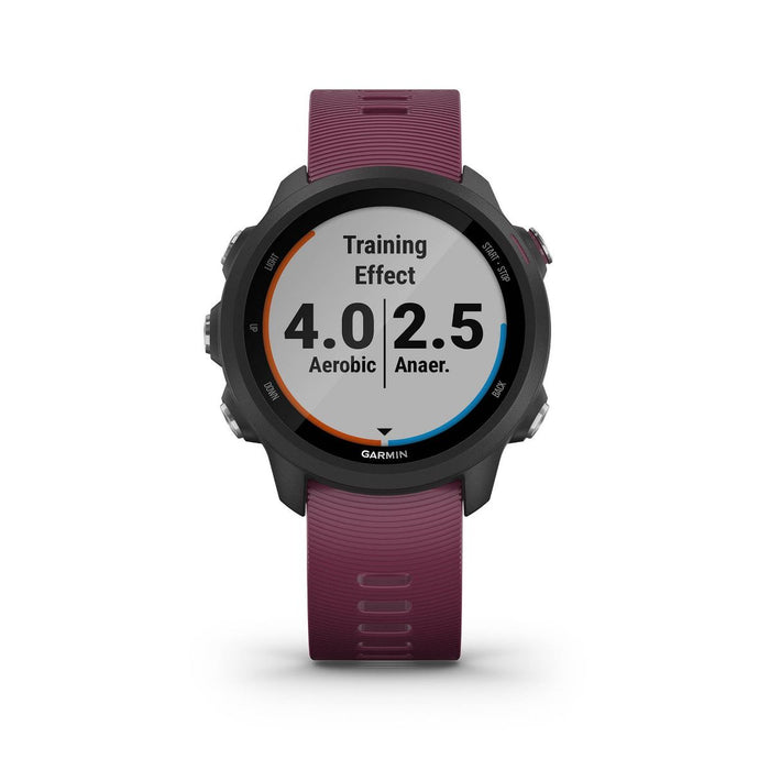 Garmin Forerunner 245 Smartwatch