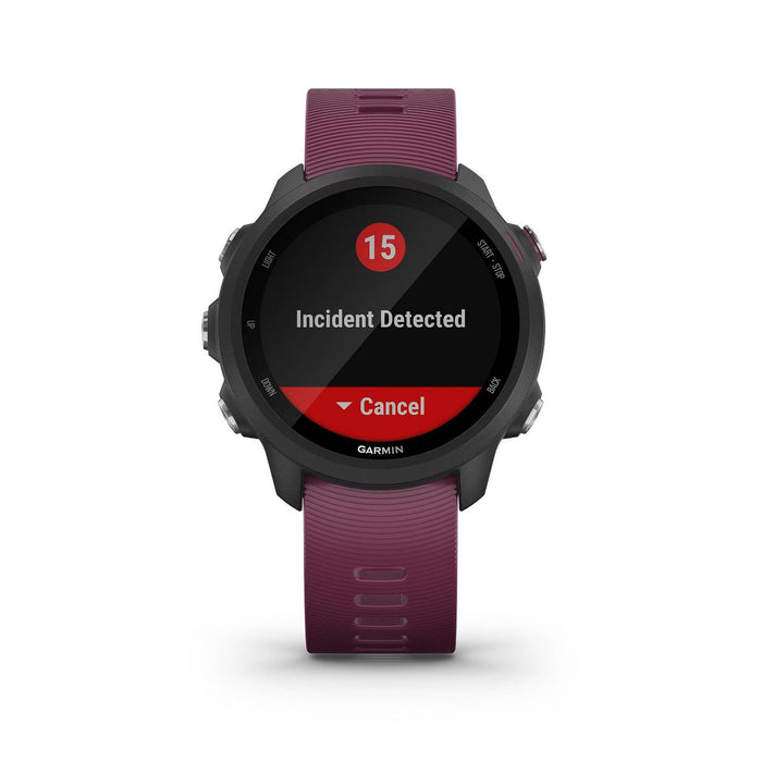 Garmin Forerunner 245 Smartwatch